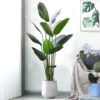 200cm Tropical Plants Large Artificial Tree With Pot