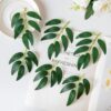 50 PCS Silk Flowers Willow Artificial Leaves