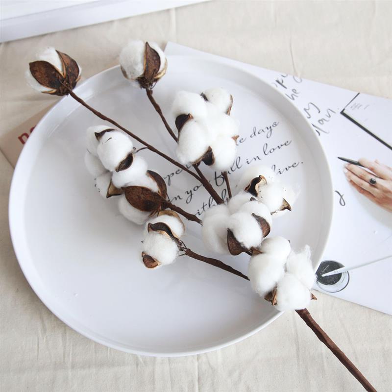 Artificial Dried Cotton Flowers White, 5pcs - Image 2