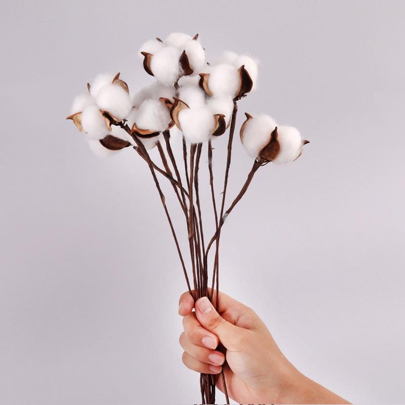 Artificial Dried Cotton Flowers White, 5pcs - Image 3