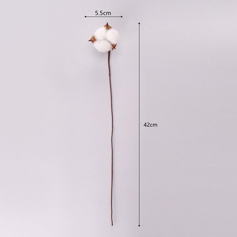 Artificial Dried Cotton Flowers White, 5pcs - Image 6