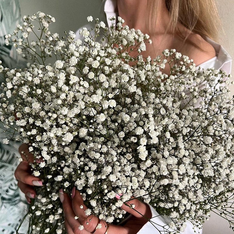 Baby's Breath Dried Artificial Flowers - Image 2