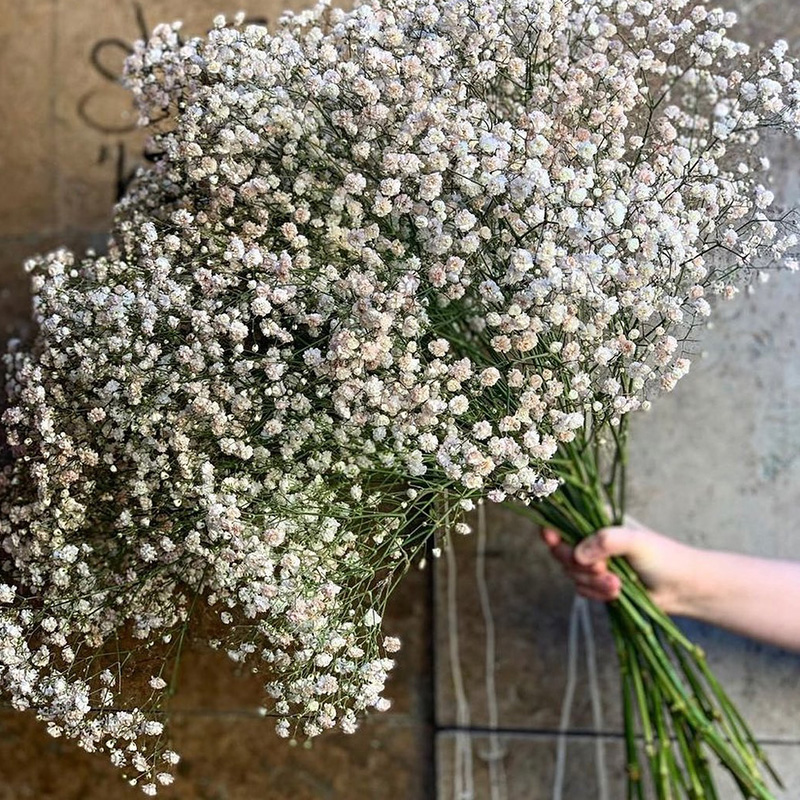 Baby's Breath Dried Artificial Flowers - Image 3