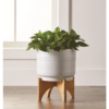 12-Inch Teramo Indoor Plant Pot with Stand