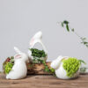 3 PCS Ceramic Cartoon Rabbits Flowerpot For Succulents
