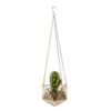 Modern Polyhedron Diamond Shape Hanging Glass Terrarium Plant Holder