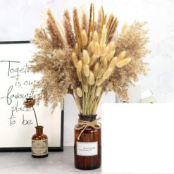 Natural Dried Flowers Bouquet Phragmites Pampas Grass