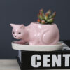 Fairy Glazed Porcelain Cat Plants Pot For Garden Decoration