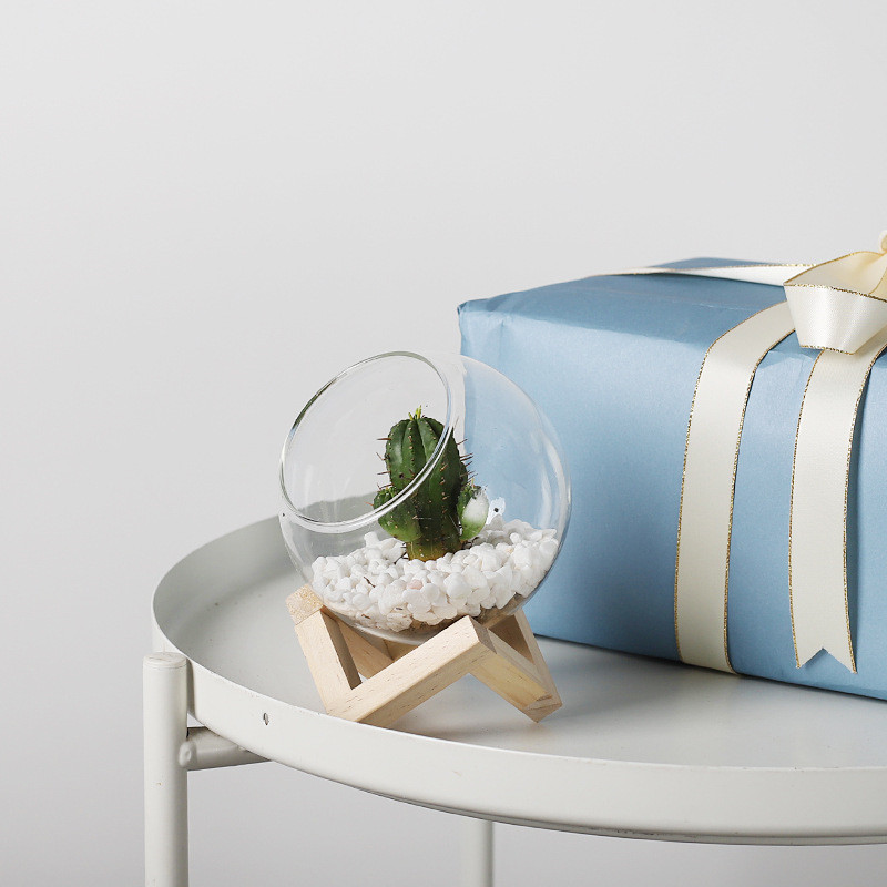 Nordic Style Transparent Glass Terrarium Flower Pot with Wooden Holder - Image 4