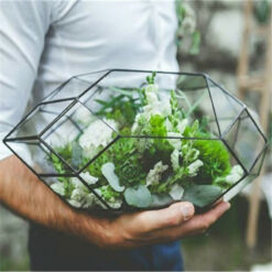 Geometric Shape Glass Terrarium Planter Pot for Indoor Gardening