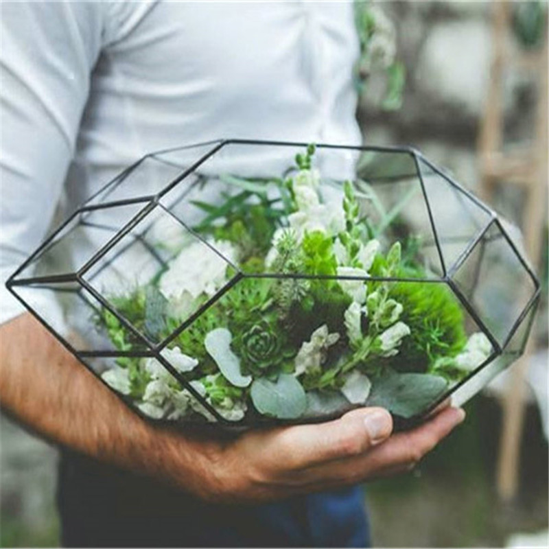 Geometric Shape Glass Terrarium Planter Pot for Indoor Gardening