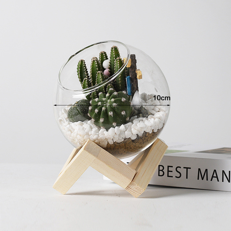 Nordic Style Transparent Glass Terrarium Flower Pot with Wooden Holder - Image 5