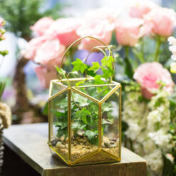 Geometric Lantern Shape Glass Terrarium Hanging Plant Pot