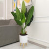 Modern Self Watering Flower Pot with Wood Legs for Home Decoration