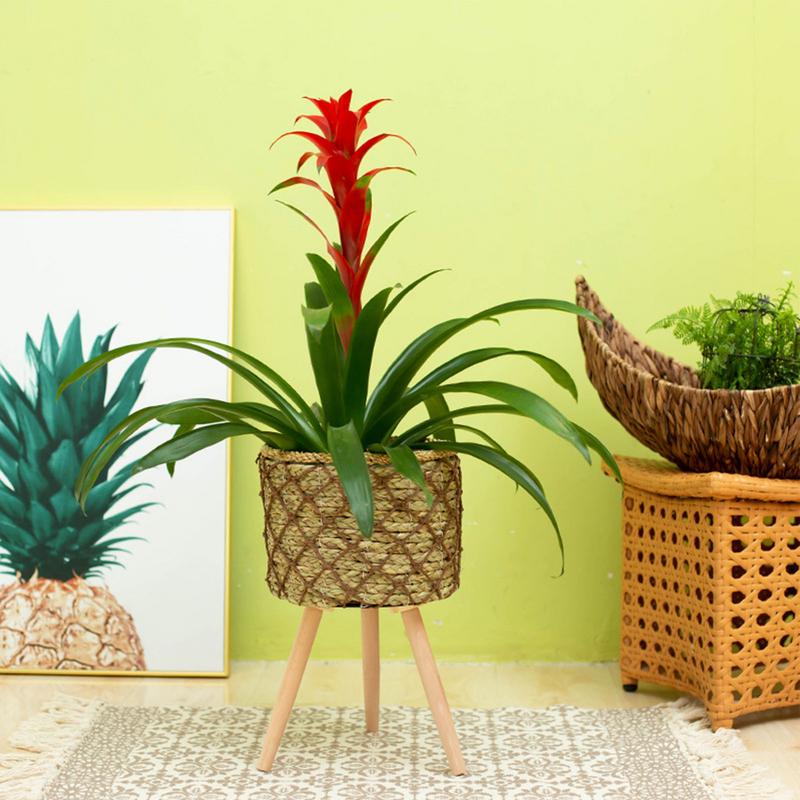 Round Woven Plant Flower Pots Stand With Legs - Image 3